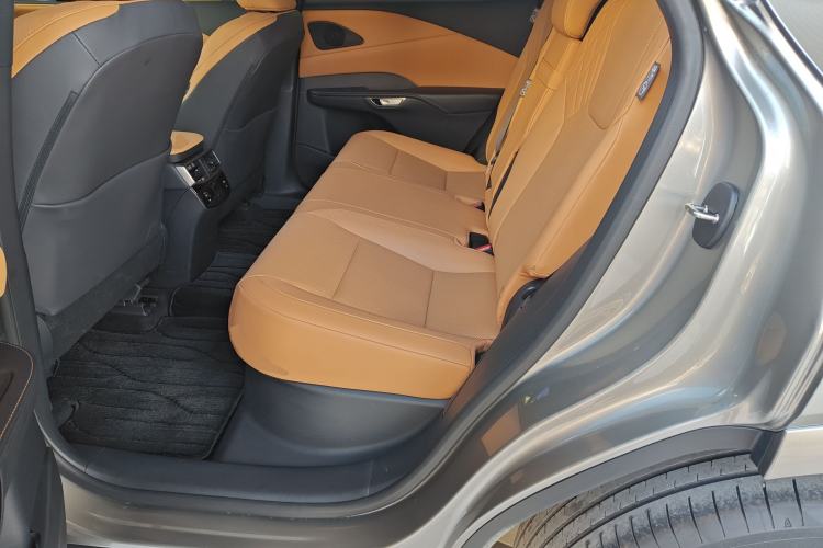 Used Lexus RX 2025 300 Four-Wheel Drive Junxiang Edition Left Rear Seat