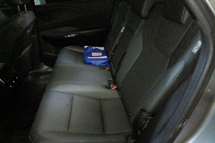 Used Lexus RX 2025 300 Four-Wheel Drive Junxiang Edition Left Rear Seat