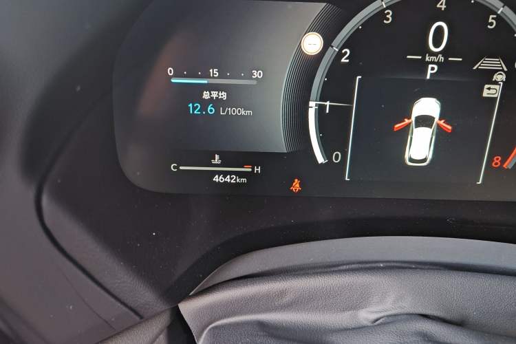 Used Lexus RX 2025 300 Four-Wheel Drive Junxiang Edition Odometer Close Up