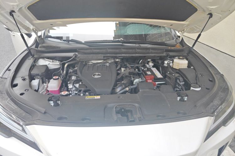 Used Lexus RX 2025 300 Four-Wheel Drive Junxiang Edition Engine Bay