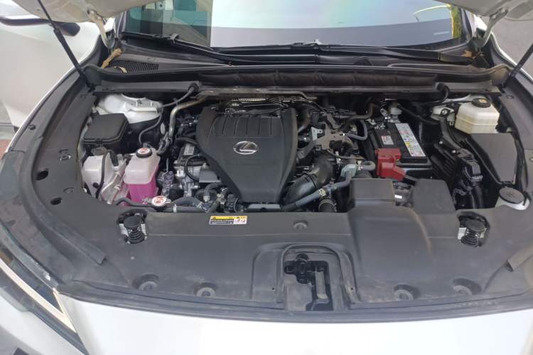 Used Lexus RX 2025 300 Four-Wheel Drive Junxiang Edition Engine Bay