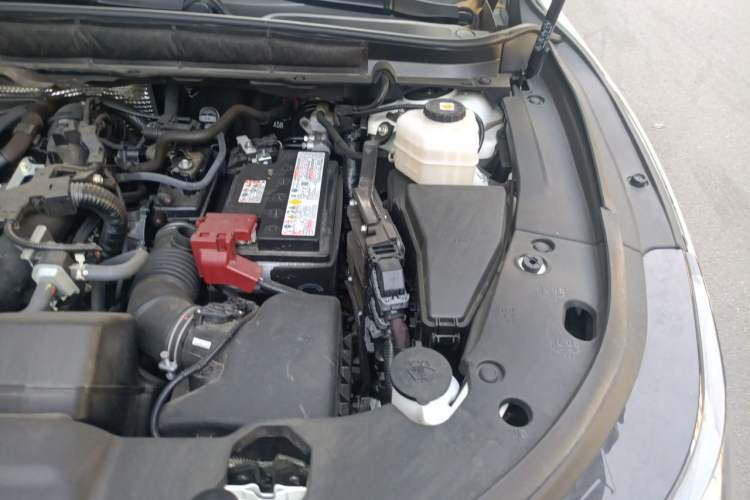 Used Lexus RX 2025 300 Four-Wheel Drive Junxiang Edition Engine Bay Left