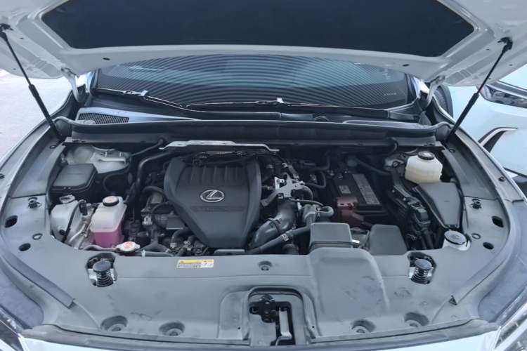 Used Lexus RX 2025 300 Four-Wheel Drive Junxiang Edition Engine Bay
