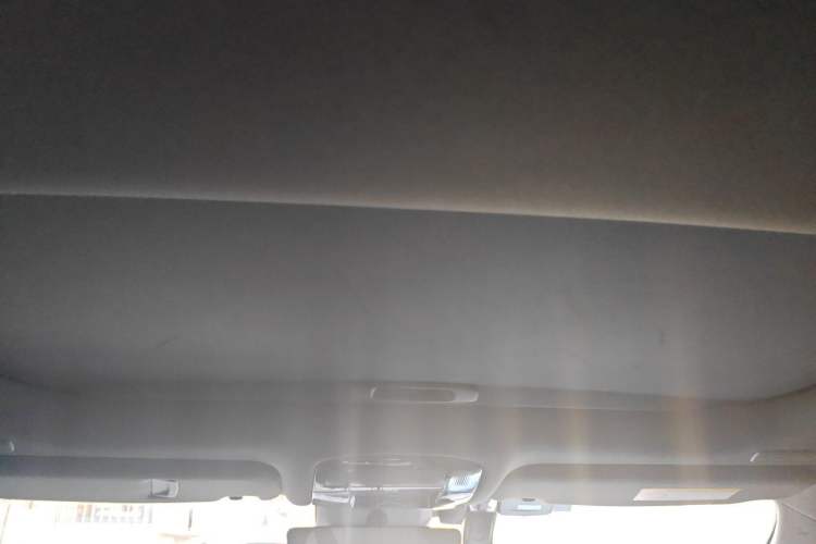 Used Lexus RX 2025 300 Four-Wheel Drive Junxiang Edition Headliner
