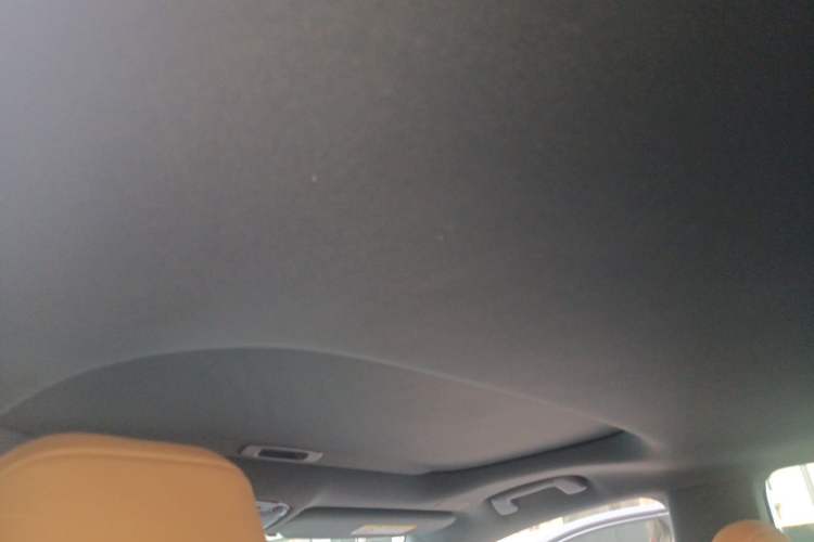 Used Lexus RX 2025 300 Four-Wheel Drive Junxiang Edition Headliner