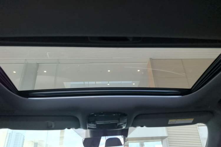 Used Lexus RX 2025 300 Four-Wheel Drive Junxiang Edition Headliner