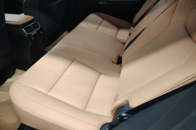 Used Lexus RX 2025 350h Four-Wheel Drive Enjoyment Version Left Rear Seat