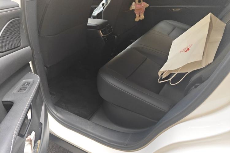 Used Lexus RX 2025 300 Four-Wheel Drive Junxiang Edition Left Rear Seat