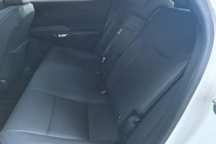 Used Lexus RX 2025 300 Four-Wheel Drive Junxiang Edition Left Rear Seat