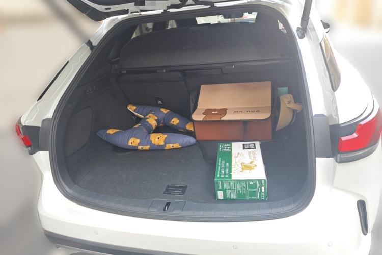 Used Lexus RX 2025 300 Four-Wheel Drive Junxiang Edition Trunk