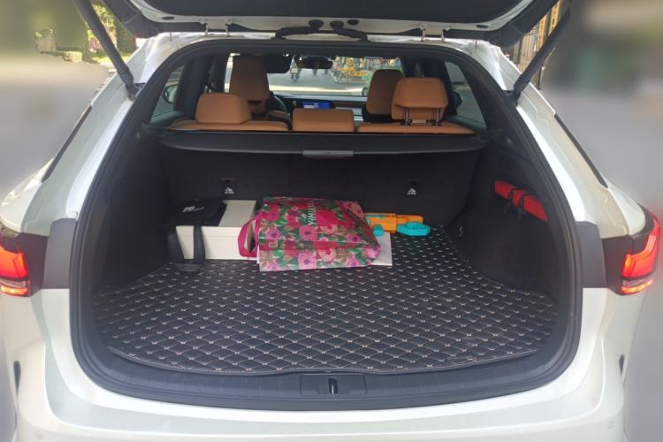 Used Lexus RX 2025 300 Four-Wheel Drive Junxiang Edition Trunk