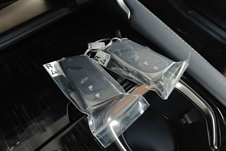 Used Lexus RX 2026 Model 300 Four-Wheel-Drive Junxiang Edition Vehicle Key