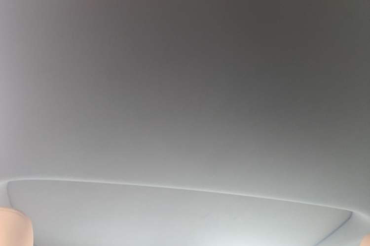Used Lexus RX 2026 Model 350h Two-Wheel-Drive Joy Edition Headliner