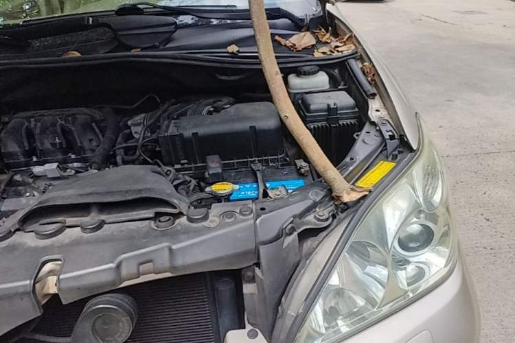 Used Lexus RX Classic 2006 350 Engine Bay Left