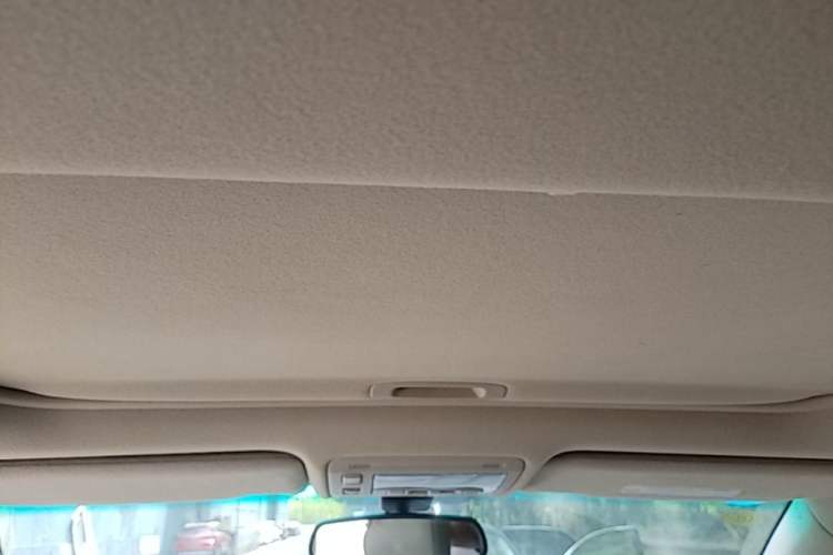 Used Lexus RX Classic 2006 350 Headliner
