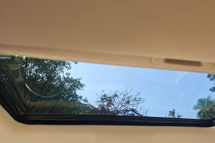 Used Lexus RX Classic 2009 350 Luxury Edition Headliner