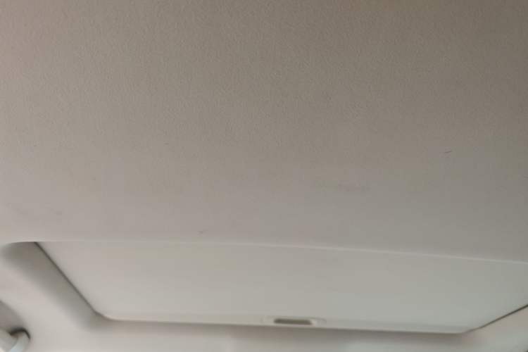 Used Lexus RX Classic 2009 350 Luxury Edition Headliner
