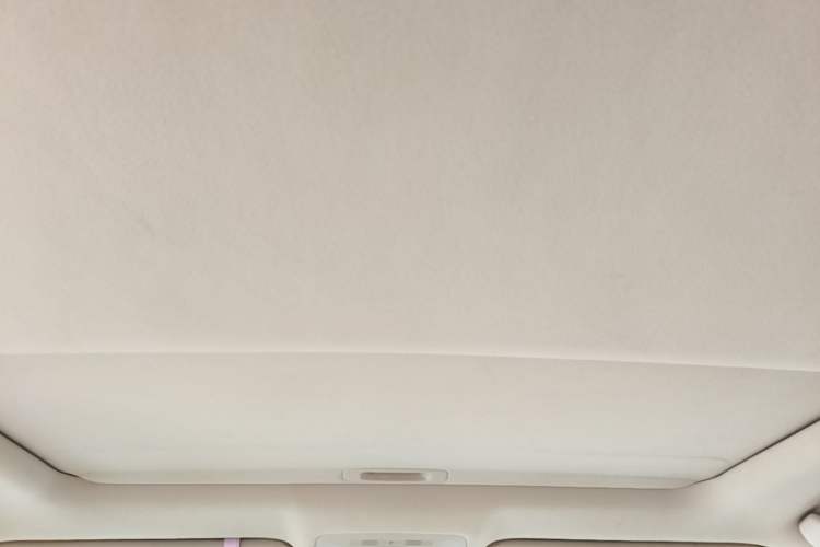 Used Lexus RX Classic 2009 350 Luxury Edition Headliner