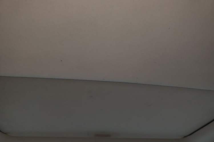 Used Lexus RX Classic 2010 350 Elegant Edition Headliner