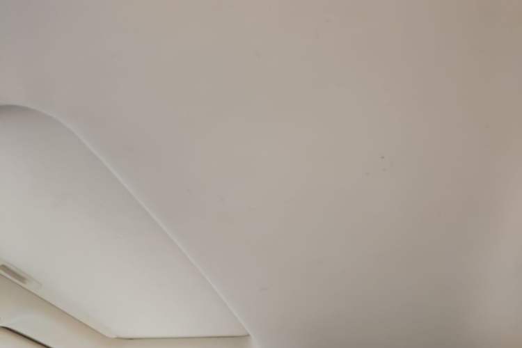 Used Lexus RX Classic 2011 270 Elegant Edition Headliner