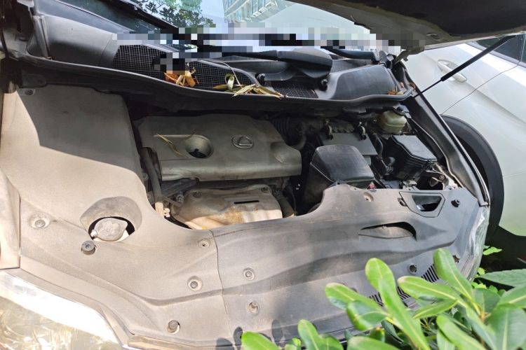 Used Lexus RX Classic 2011 270 Elegant Edition Engine Bay
