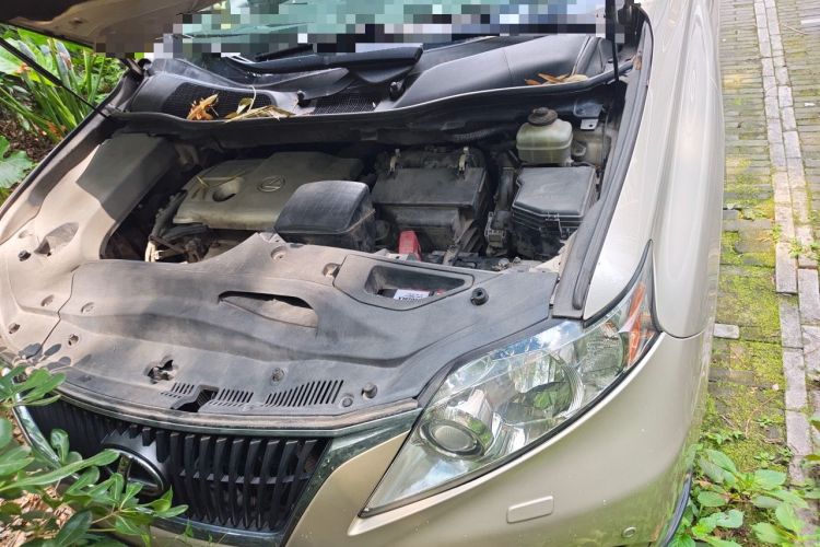 Used Lexus RX Classic 2011 270 Elegant Edition Engine Bay Left