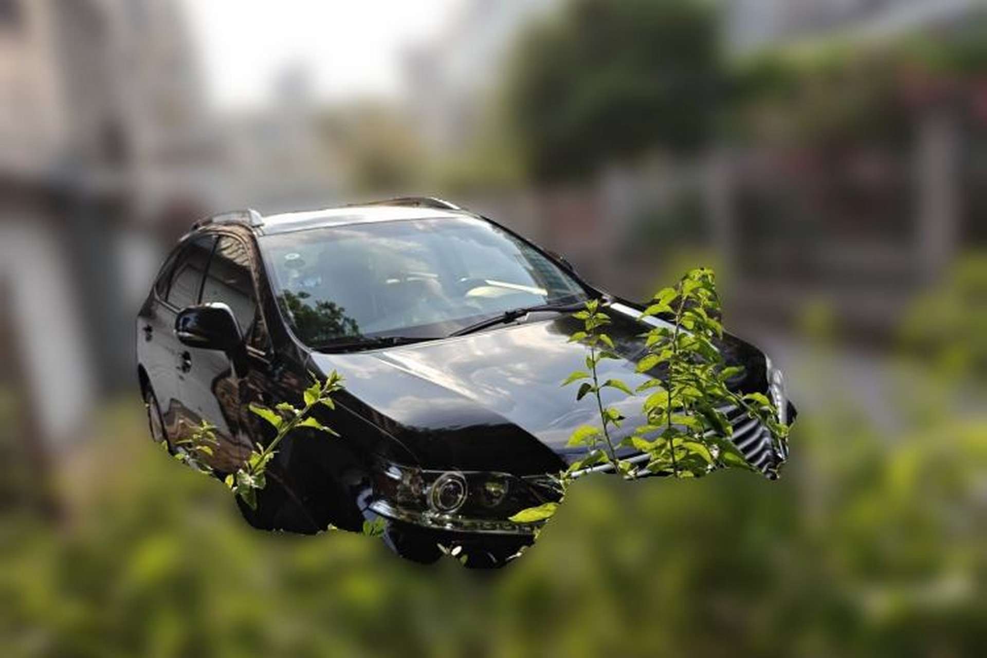 Used Lexus RX Classic 2012 270 Elegant Edition Front Right 45 Deg