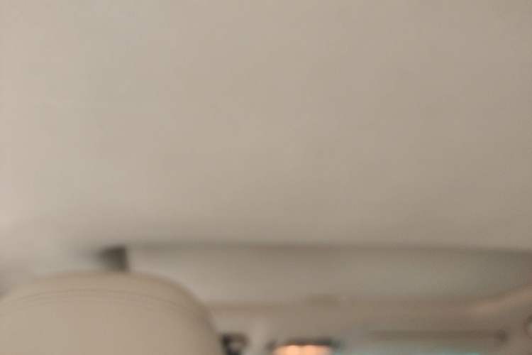 Used Lexus RX Classic 2012 270 Elegant Edition Headliner