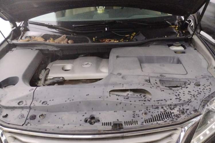 Used Lexus RX Classic 2012 270 Luxury Edition Engine Bay