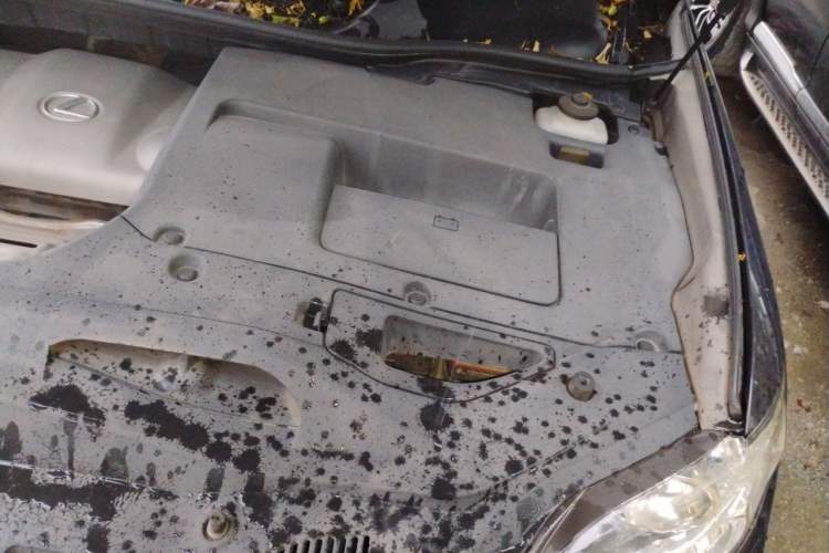 Used Lexus RX Classic 2012 270 Luxury Edition Engine Bay Left