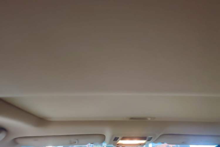 Used Lexus RX Classic 2012 270 Elegant Edition Headliner