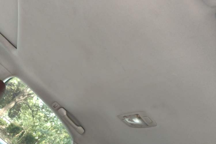 Used Lexus RX Classic 2013 270 Elite Edition Headliner