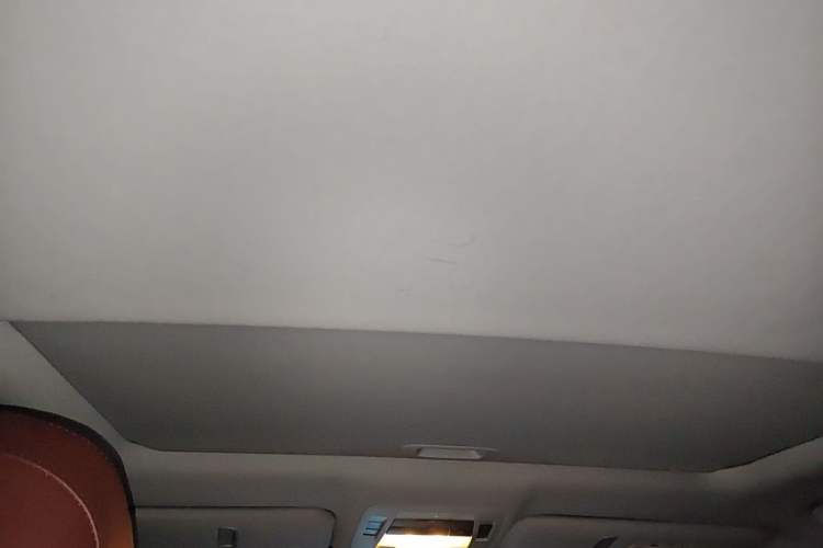 Used Lexus RX Classic 2013 270 Elite Edition Headliner