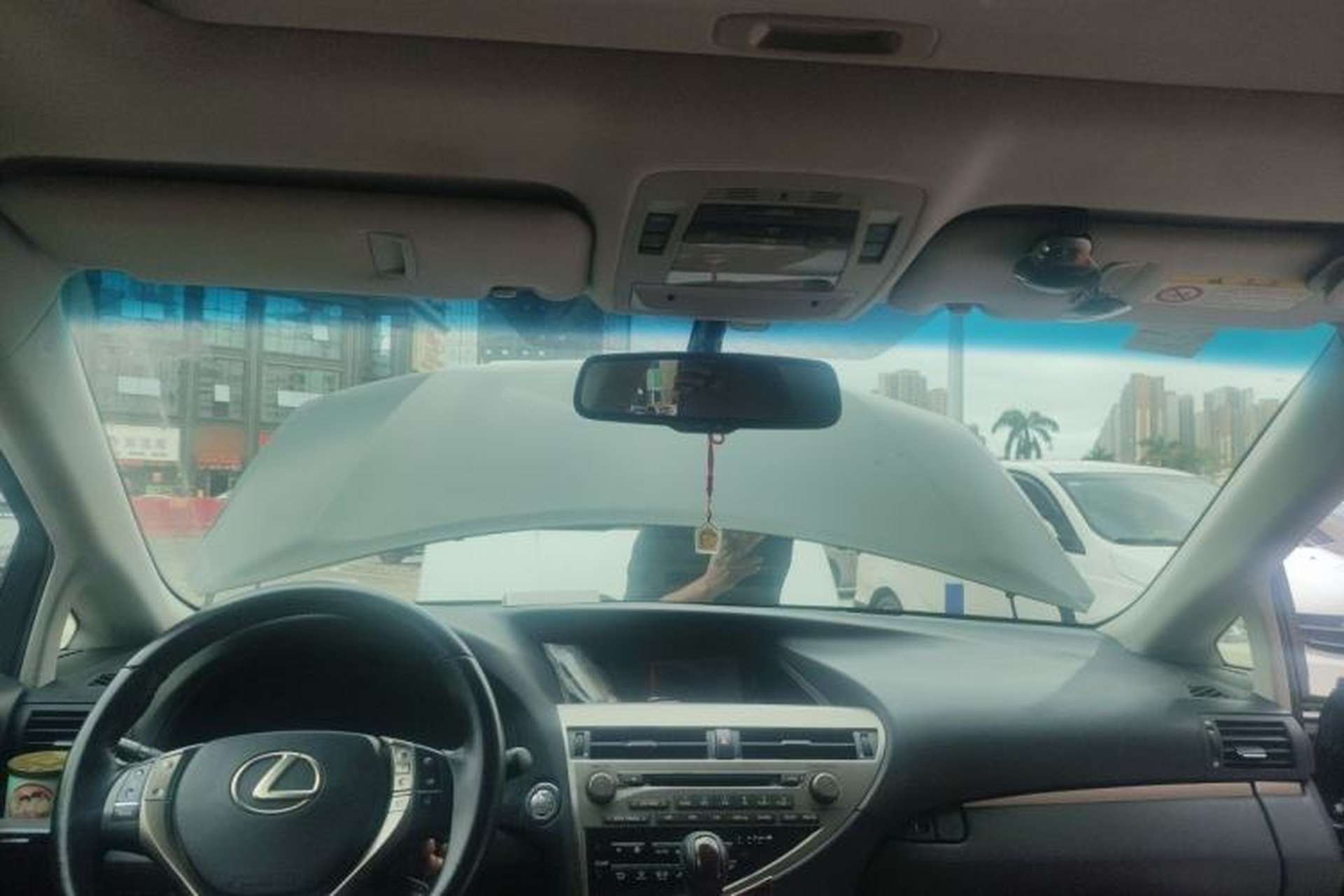 Used Lexus RX Classic 2013 270 Elite Edition Headliner