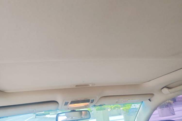 Used Lexus RX Classic 2013 270 Elite Edition Headliner