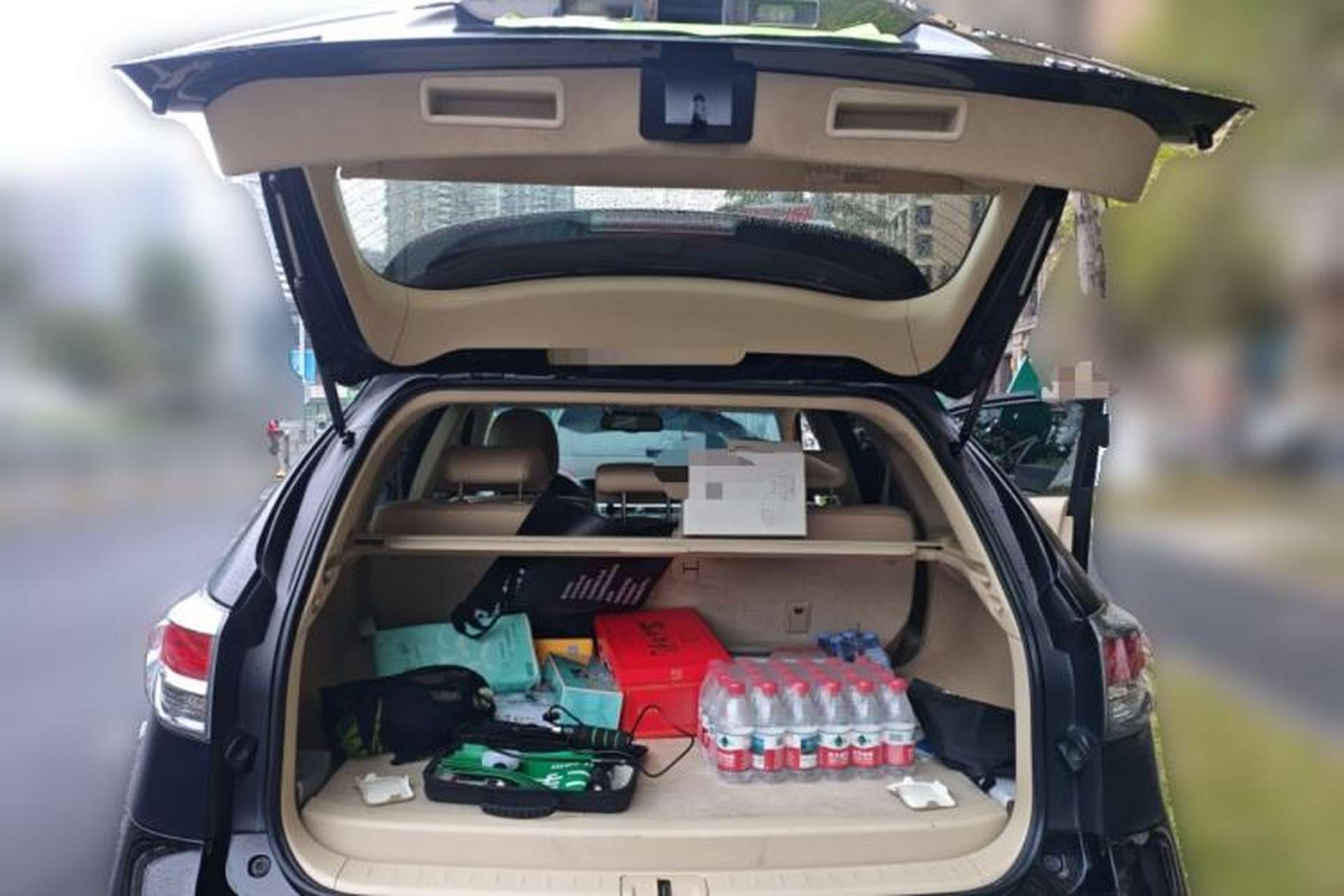 Used Lexus RX Classic 2013 270 Elite Edition Trunk