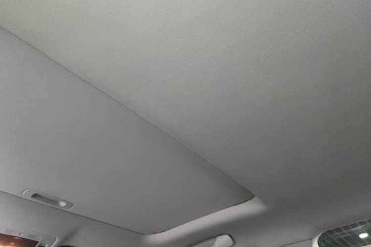 Used Lexus RX Classic 2013 270 Elite Edition Headliner
