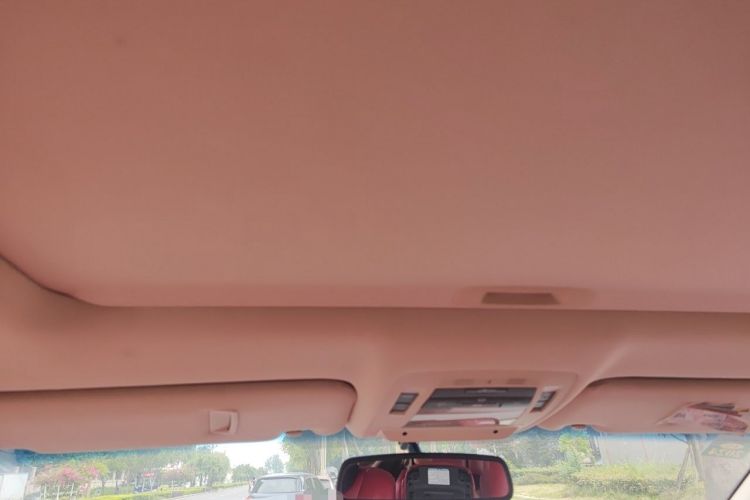 Used Lexus RX Classic 2013 270 Elite Edition Headliner