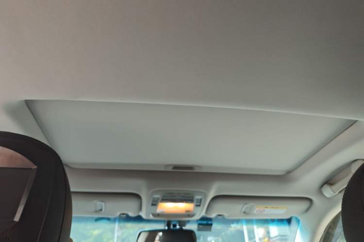 Used Lexus RX Classic 2013 270 Elegant Edition Headliner
