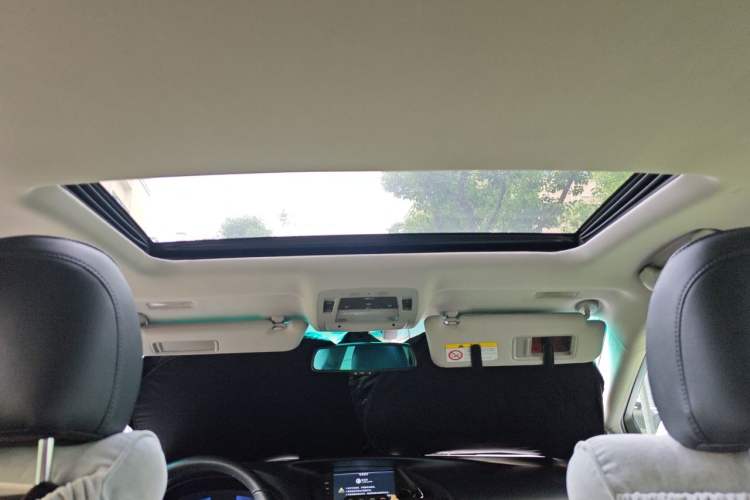 Used Lexus RX Classic 2013 270 Elite Edition Headliner