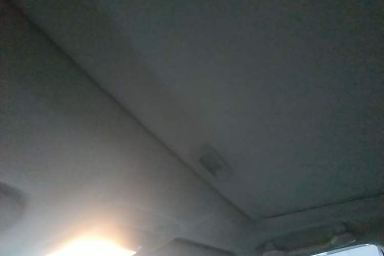 Used Lexus RX Classic 2013 270 Elite Edition Headliner