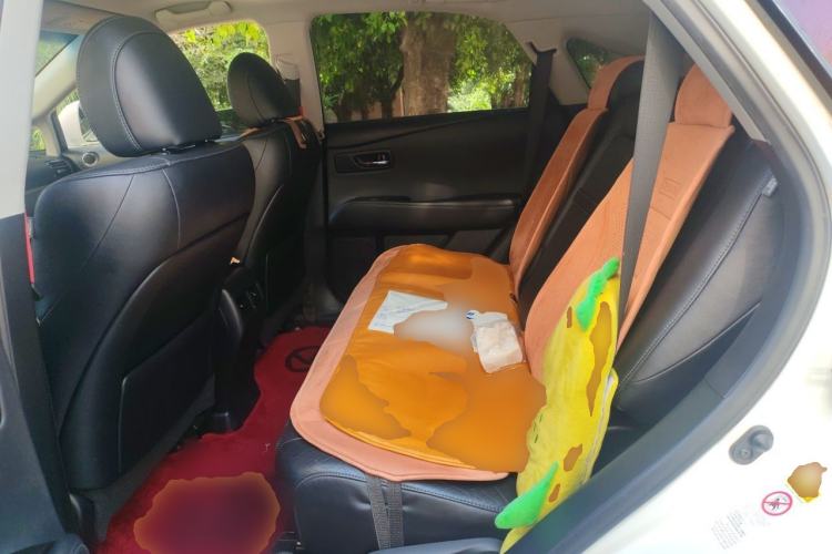 Used Lexus RX Classic 2013 270 Elegant Edition Left Rear Seat