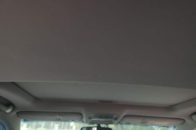 Used Lexus RX Classic 2013 270 Elegant Edition Headliner