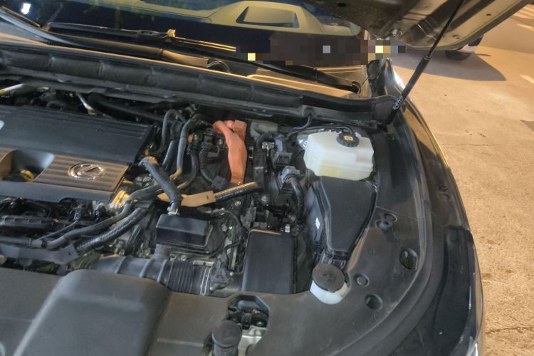 Used Lexus RX New Energy 2023 450h+ Four-Wheel Drive Enjoyment Edition Engine Bay Left