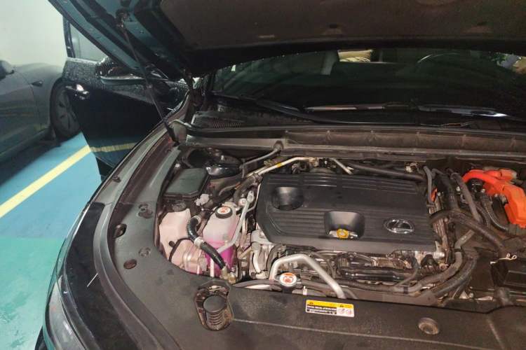 Used Lexus RX New Energy 2023 450h+ Four-Wheel Drive Enjoyment Edition Engine Bay Right
