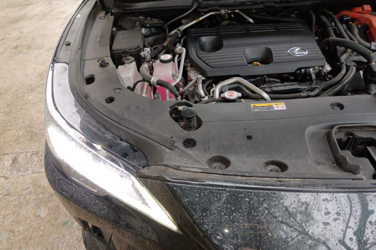 Used Lexus RX New Energy 2023 450h+ Four-Wheel Drive Enjoyment Edition Engine Bay Right