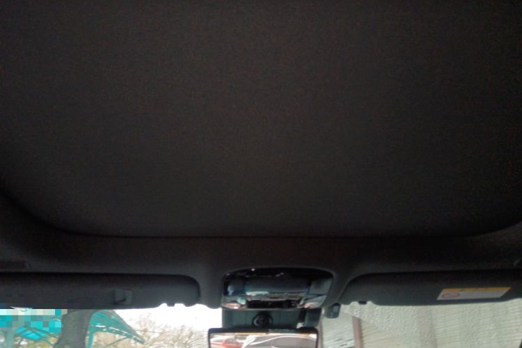 Used Lexus RX New Energy 2023 450h+ Four-Wheel Drive Enjoyment Edition Headliner