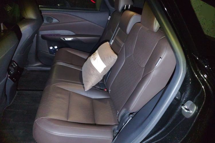 Used Lexus RX New Energy 2023 450h+ Four-Wheel Drive Enjoyment Edition Left Rear Seat