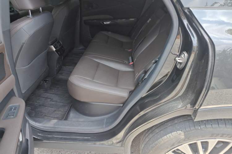 Used Lexus RX New Energy 2023 450h+ Four-Wheel Drive Enjoyment Edition Left Rear Seat