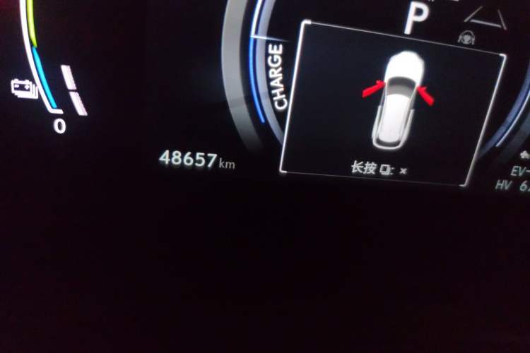 Used Lexus RX New Energy 2023 450h+ Four-Wheel Drive Enjoyment Edition Odometer Close Up